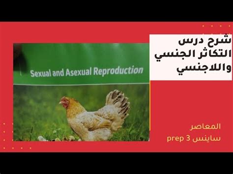 Science Prep 3 Unit 4 Lesson 2 Sexual And Asexual Reproduction YouTube