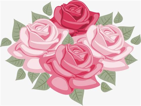 Flores Cor De Rosa Pintadas à Mão Esboço de rosa Como pintar rosas