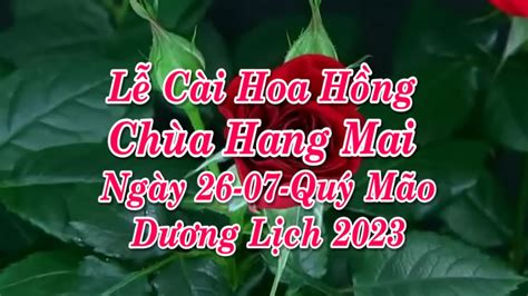 Lễ Cài Hoa Hồng Chùa Hang Mai 2023 Youtube