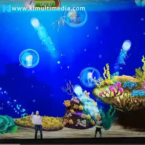 Aquarium Games | Museums Aquarium Creative