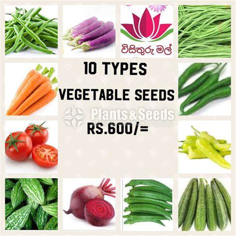 vegetable plants plants  seeds