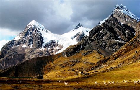 Cultura Inca Historia Del Per