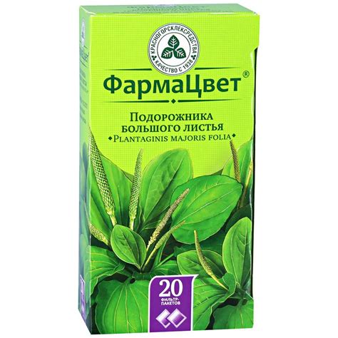 Лечебные свойства семян подорожника: ПОДОРОЖНИКА БЛОШНОГО СЕМЕНА ...