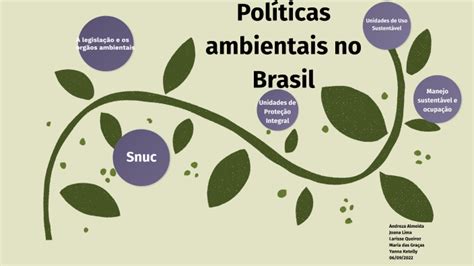 Pol Ticas Ambientais No Brasil By Andreza Almeida