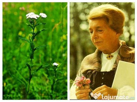Билките на Мария Требен изцериха дори най-болните