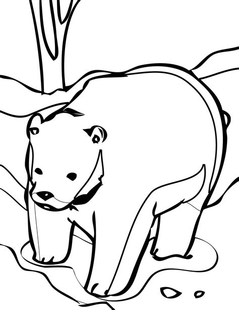 Free Printable Bear Coloring Pages For Kids