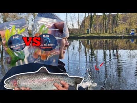 K Der Duell Am Forellen See Forellen Angeln Mit Gummifisch Youtube