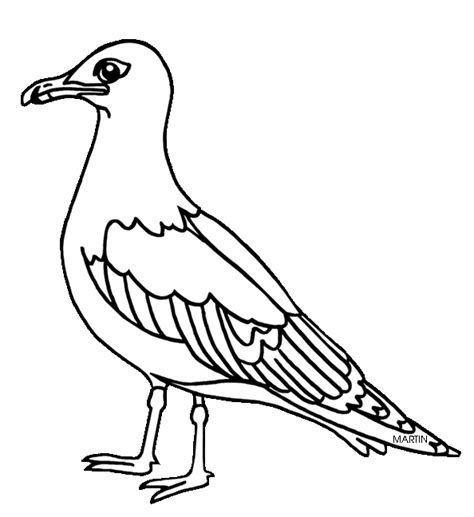 Alaska State Bird Coloring Page - Free Coloring Pages