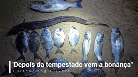 Depois da tempestade vem a bonança YouTube