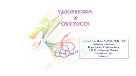 VASOPRESSIN AND OXYTOCIN HORMONE .ppt.pptx