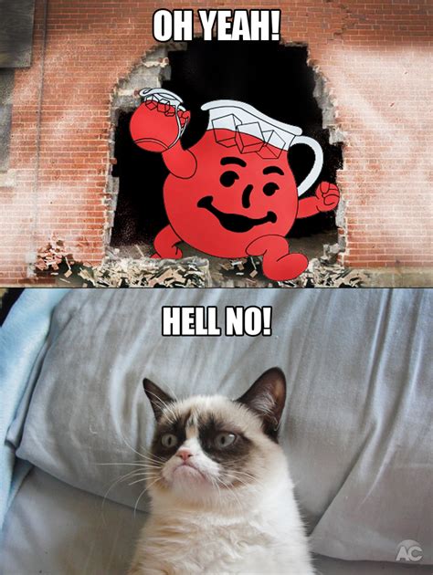 HEY KOOL AID - "OH YEAH!" | Grumpy Cat | Know Your Meme