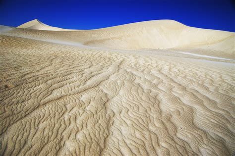 Lancelin Sand Dunes 100km North Of Perth Western Australia © Michael