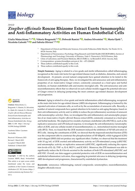 PDF Zingiber Officinale Roscoe Rhizome Extract Exerts Senomorphic And