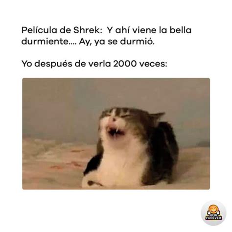 Película de Shrek Y ahí viene la bella durmiente Ay ya se durmió