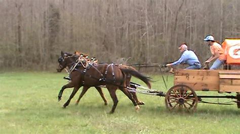 Chuckwagon Racing Practice - YouTube