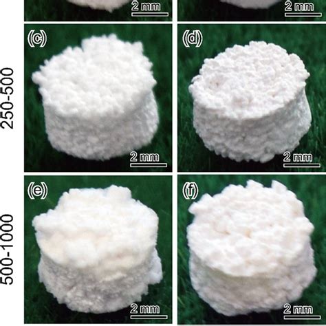 Representative SEM Micrographs Of OCP Ag Foams With Sizes Of A B