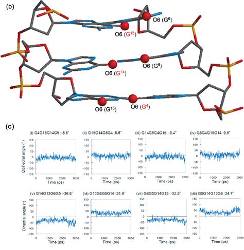 G Quadruplex Dna Binding Semantic Scholar