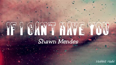 Shawn Mendes If I Cant Have You Lyrics Youtube