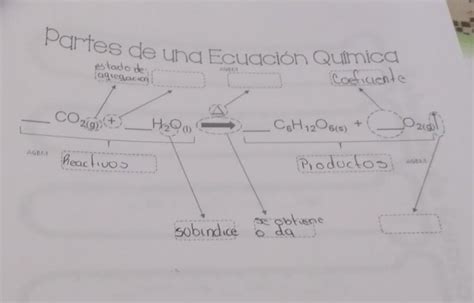 ayuda partes de una ecuación química Brainly lat