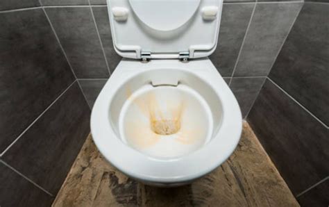 If you are frustrated with the brown stains on your toilet bowl, this post is aimed at showing ...