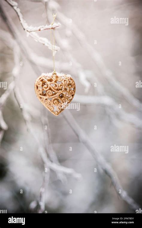 Golden Heart In Winter Wonderland Stock Photo Alamy