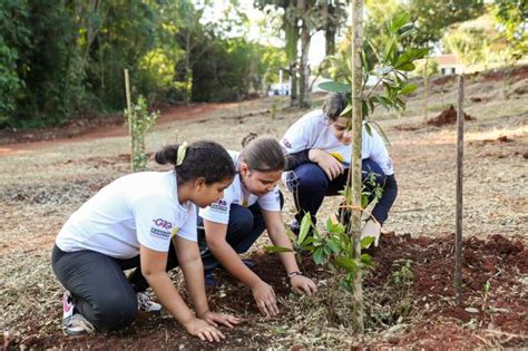 Prefeitura lança segundo Pomar Urbano e revitaliza espaço no Jardim