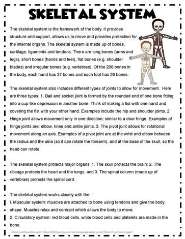 Reading Comprehension About The Skeleton 1 Learn With Puzzles