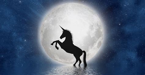 Full Moon Unicorn 🌛 In 2020 Unicorn Full Moon Celestial