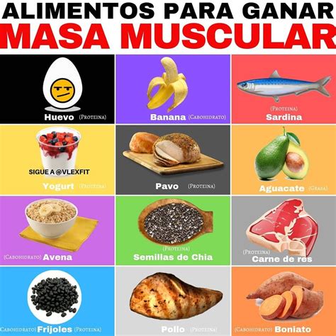 Arriba Imagen Recetas Fitness Para Ganar Masa Muscular Abzlocal Mx