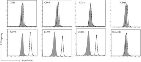 Immunophenotype Of Mscs A Mscs Were Isolated From Bone Marrow Download Scientific Diagram