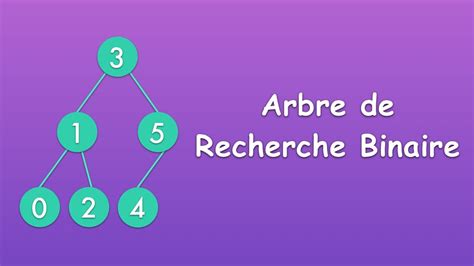 Arbre De Recherche Binaire Insertion Et Recherche Youtube