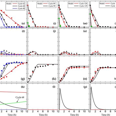 Measured Symbols And Model Predicted Lines Concentrations Of