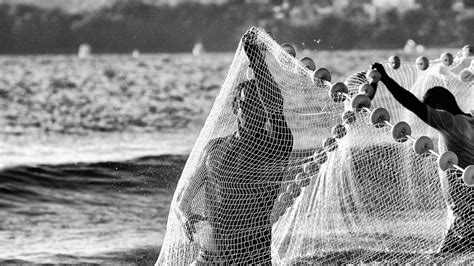 Um Outro Olhar Livro Fotogr Fico Sobre A Pesca Artesanal Da Tainha