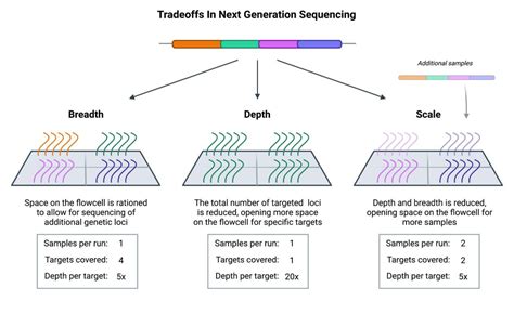 Capturing The Basics Of Ngs Target Enrichment