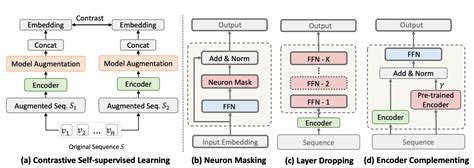 Improving Contrastive Learning With Model Augmentation Papers With Code