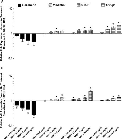 Effect of BMP-7 alone on gene expression in primary and immortalized ...