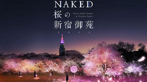 東京NAKED夜間櫻花燈光騷3月新宿御苑登場900株櫻花盛開原創花瓣座椅 U Travel