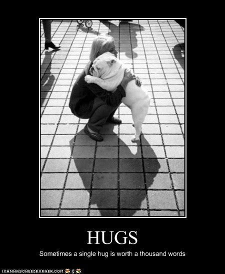 HUGS - I Has A Hotdog - Dog Pictures - Funny pictures of dogs - Dog ...