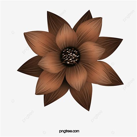 Brown Flower Clipart