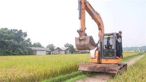 Perkuat Ketahanan Pangan Pemerintah Bakal Cetak 3 Juta Hektar Sawah