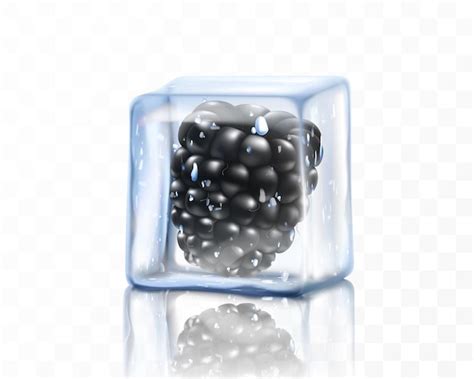 Premium Vector Fresh Ripe Blackberry In Ice Cube Isolated On