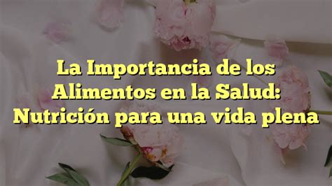 La Importancia De Los Alimentos En La Salud Nutrici N Para Una Vida Plena