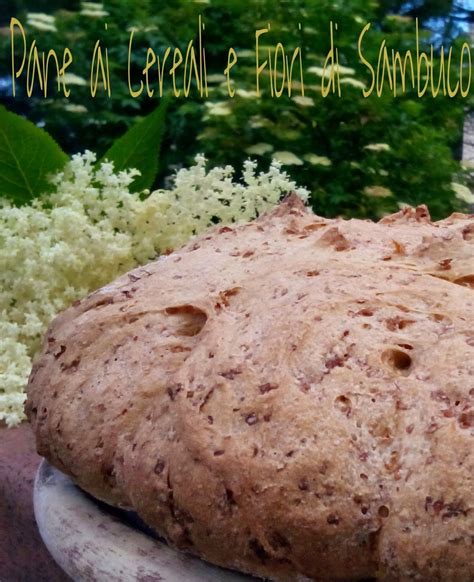 Cucinando Tra Le Nuvole Pane Ai Cereali E Fiori Di Sanbuco Dolce