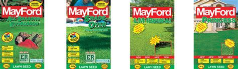 Mayford Seeds