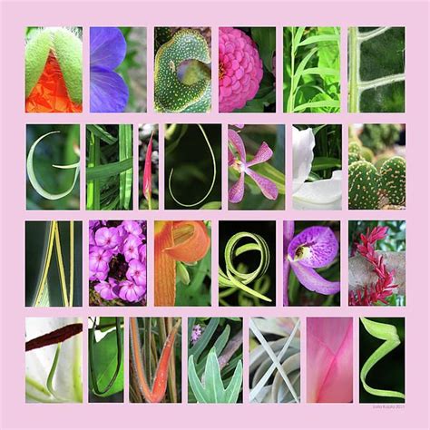 96 Best Ideas About Letters In De Natuur Nature Alphabet On Pinterest Letter J Letter Form