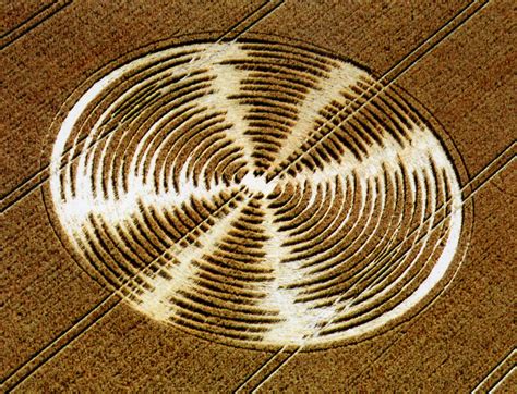 ‘what On Earth Probes Mysteries Of Crop Circles Review The New