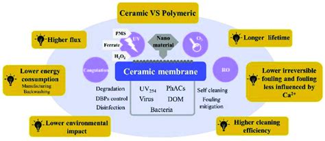 Shows The Applications And Advantages Of Ceramic Membranes And Ceramic