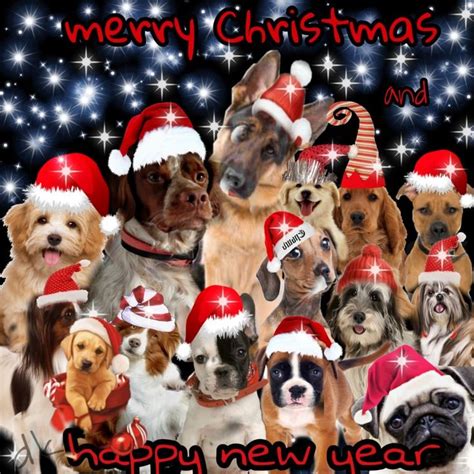 Merry Christmas and happy new year From Dogs love | Merry christmas dog, Dog christmas pictures ...