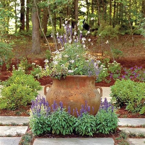 Beautiful Container Garden Planting Ideas Beautiful Dawn Designs