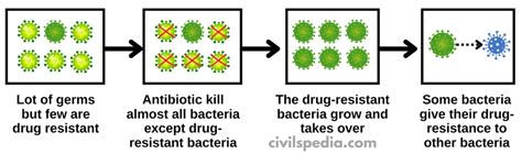 Anti-Microbial Resistance - civilspedia.com